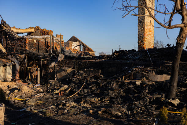 Reliable Board Up Services contractor in Palm Harbor, FL by Fire Damage Doption